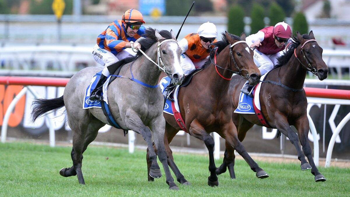 Villa Verde, left, charges home to win on debut at Caulfield.