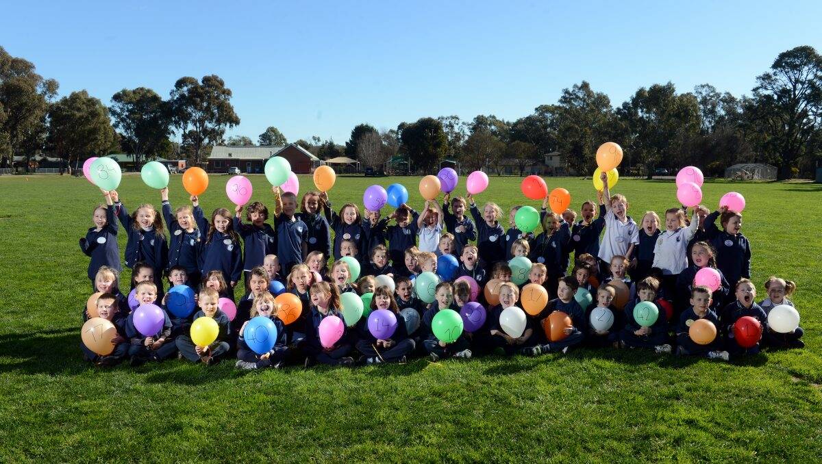 Strathfieldsaye Primary School students celebrate their 100th day of school. Picture: Jim Aldersey