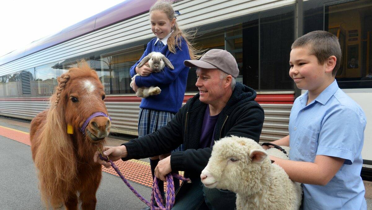 New friends: Jason Peters of Animals 2 U introduces Creek Street Christian College students Eliza Christie and Jeremiah Stanford to Cooper the mini shetland, Seal the rabbit and Ted the sheep at Bendigo Station.