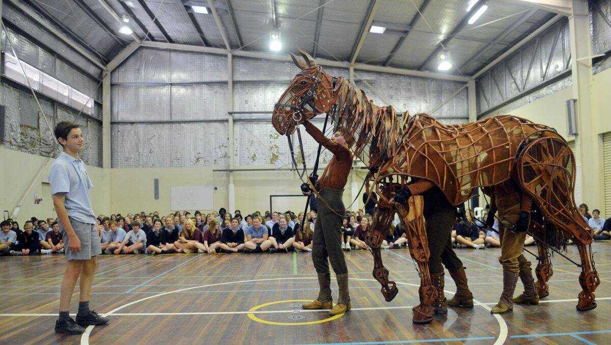 PUPPET: Catholic College student Alex Caldow approaches Joey the horse. Picture: BRENDAN McCARTHY