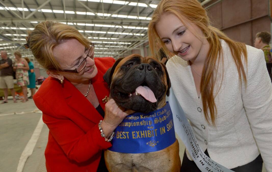 Michelle and Elise Edwards from Devon Meadows and their Bullmastiff who won best exhibit in show.