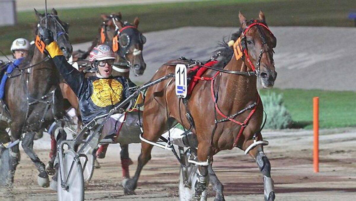 Star pacer Sushi Sushi has been nominated for the Bendigo Pacing Cup.