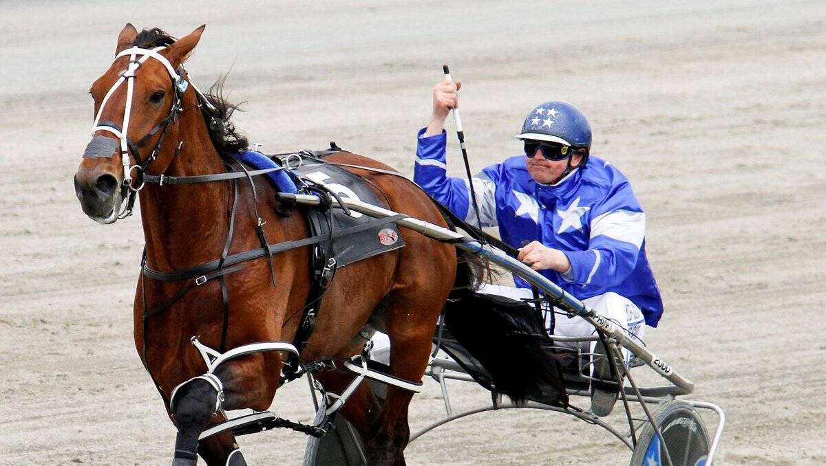 POWERFUL: New Zealand champ Auckland Reactor will race in Saturday night’s Bendigo Pacing Cup. Picture: GETTY IMAGES