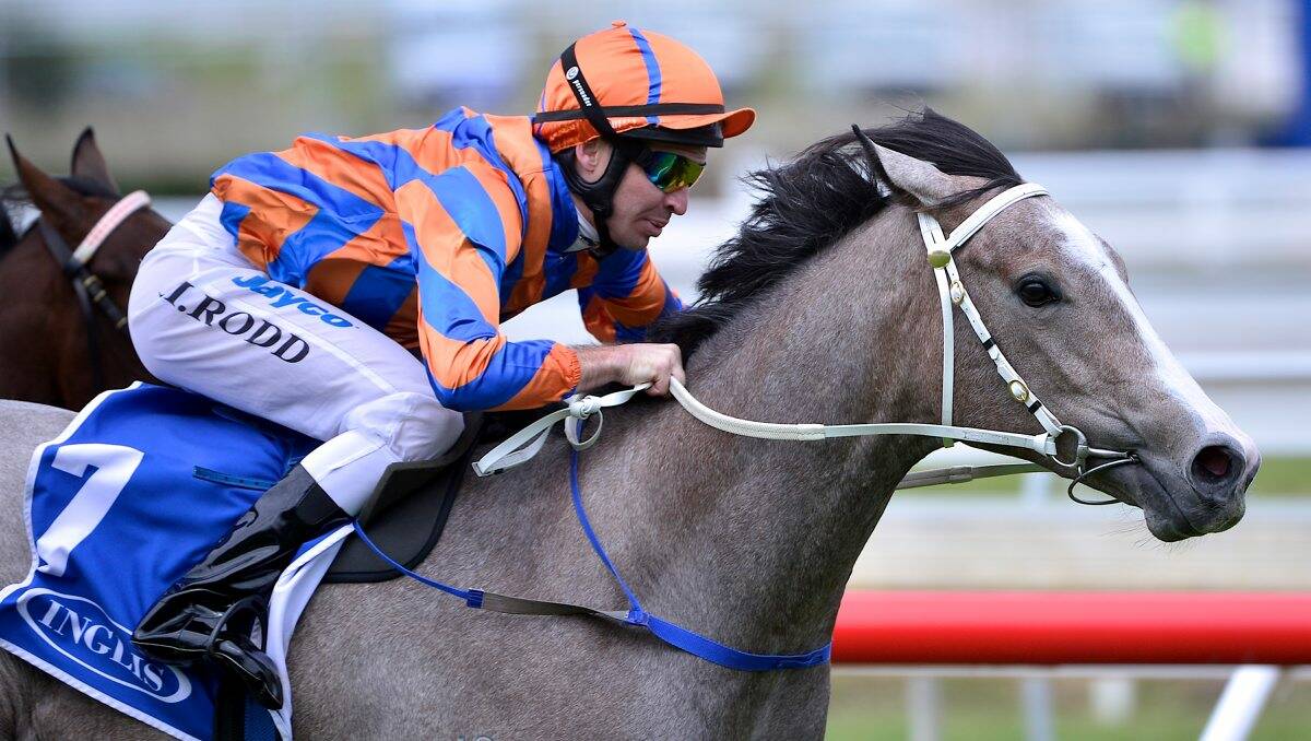 Shaun Dwyer rates filly Villa Verde up with the best that he has trained and is eyeing off next year’s Golden Slipper. 