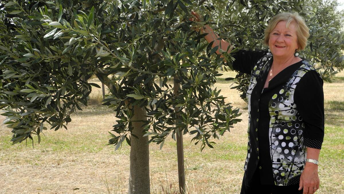 Bridgeward Grove: Julie Howard is branching out on her farm. 