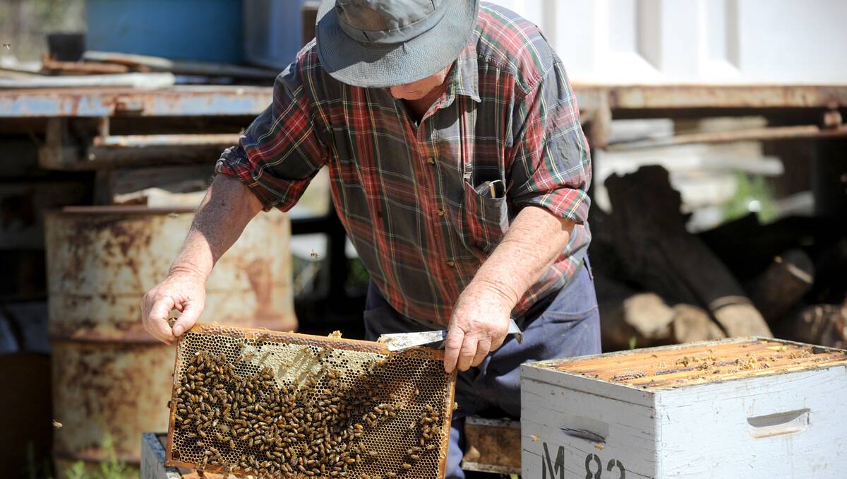 Bob McDonald tends to his bees. Picture: Jodie Donnellan