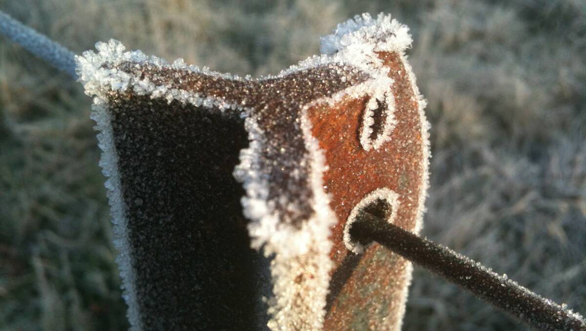 F for frost. Picture: Julie Hempenstall