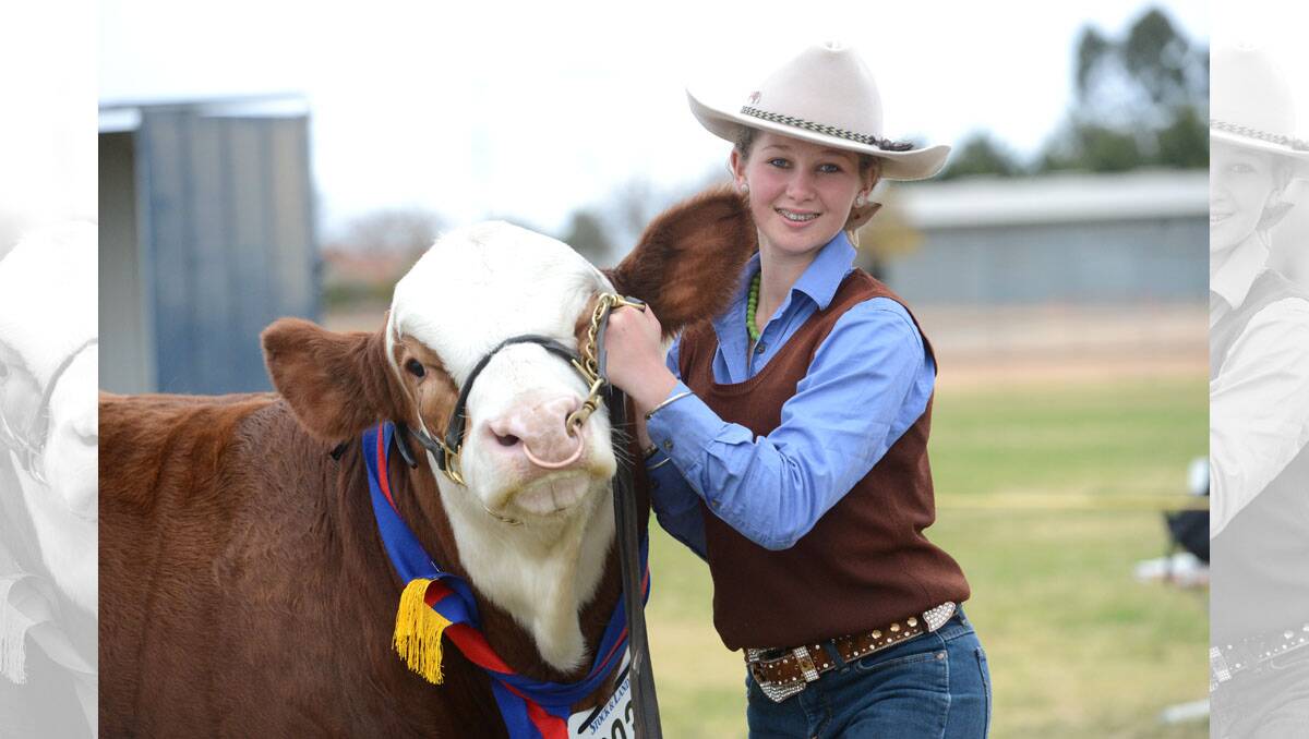 Beef & Cattle Show, Bendigo Showgrounds. Ruby Canning with Mavstar Harvester the "Simmentals" breed of cattle. Picture: JIM ALDERSEY.