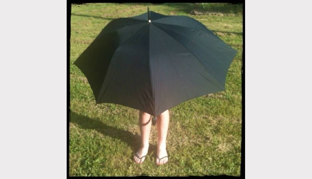 Umbrella. Picture: Julie Hempenstall