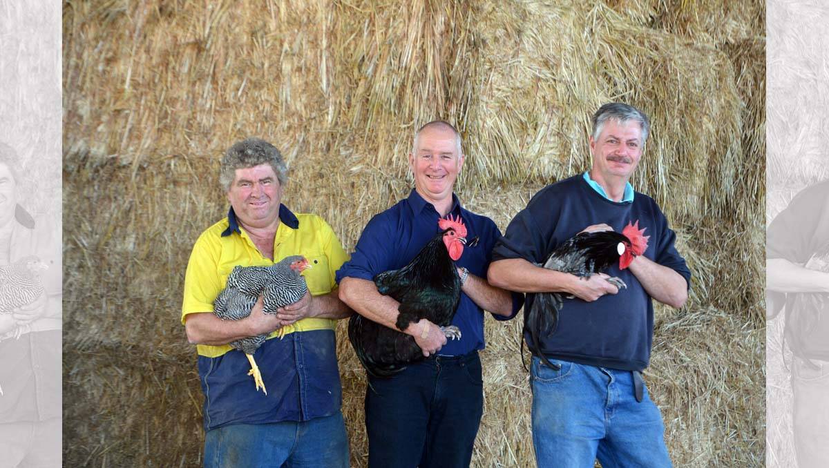 Members of the new Central Victorian Poultry Club Mark Doherty, Doug Moulden and David Pickles. Picture: Brendan McCarthy