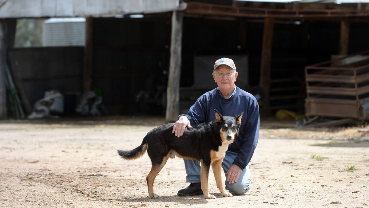 QUIET LIFE: Don McKinnon (pictured here with dog Mac) has returned to the farm in retirement. Pictures: Jim Aldersey