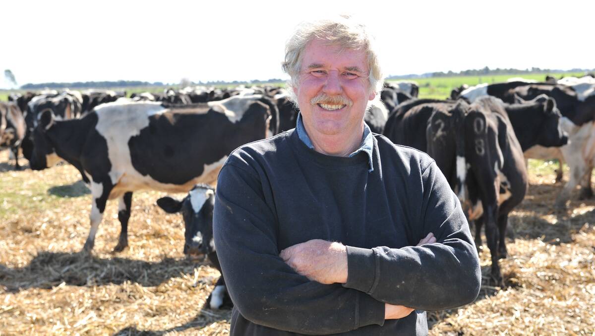 HAPPY ON THE LAND: John Gledhill in the paddock with his dairy herd. Picture: Brian Semmens 