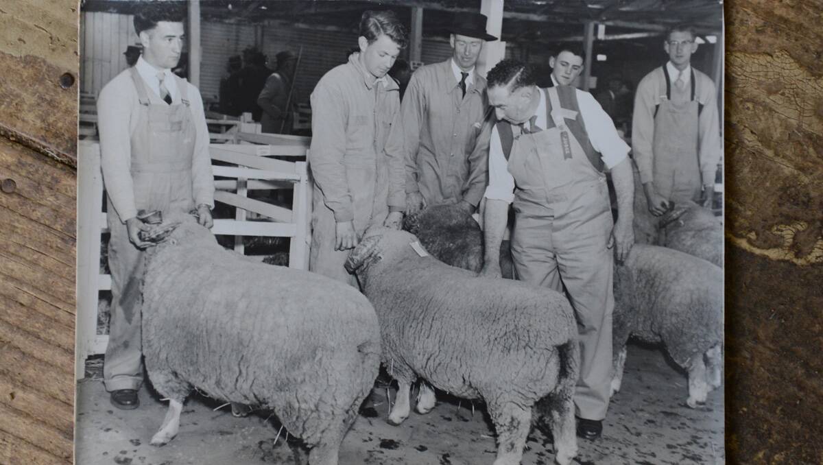 MEMORIES: Don McKinnon shows a sheep at the 1958 Bendigo Show.