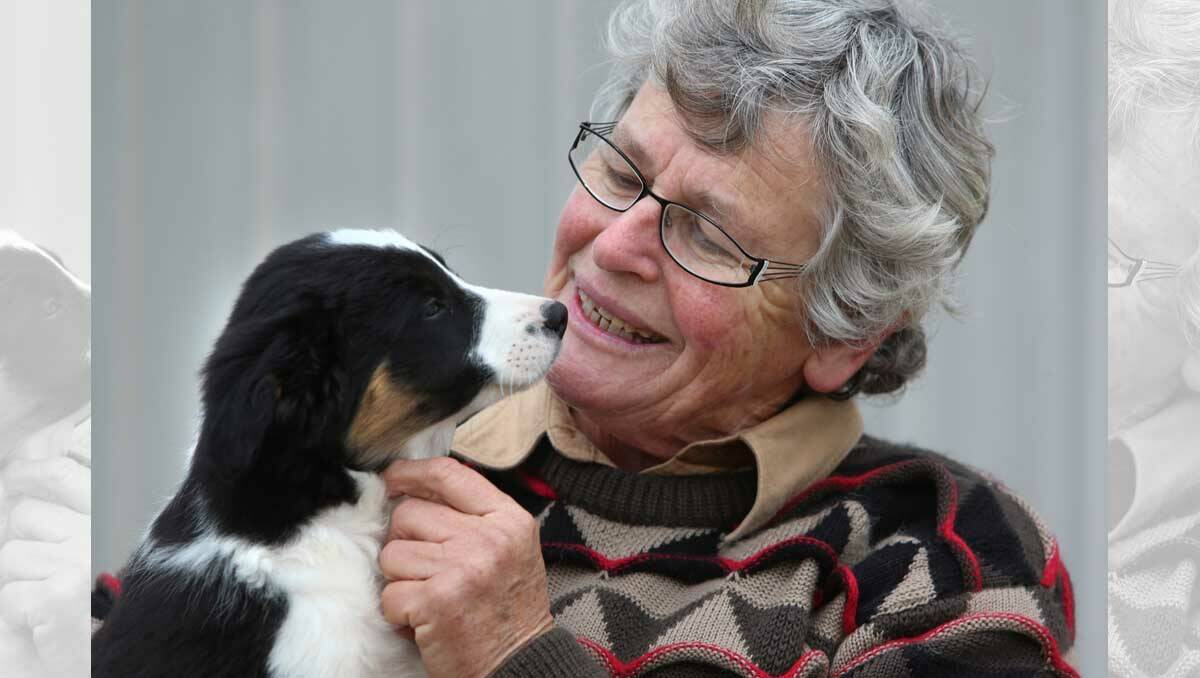 Breader Merylin Wallis from Amphitheatre with a nine-week-old border collie pup. Picture: Peter Weaving.