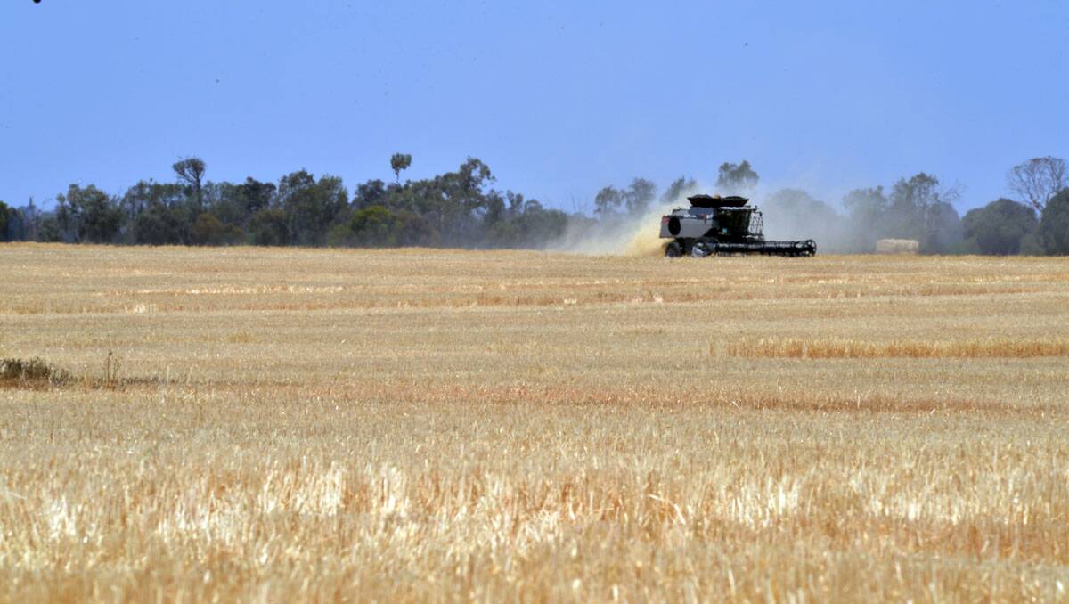 CROPPING: Barley being harvested on Phillip Neale’s property near Elmore. Picture: Brendan McCarthy