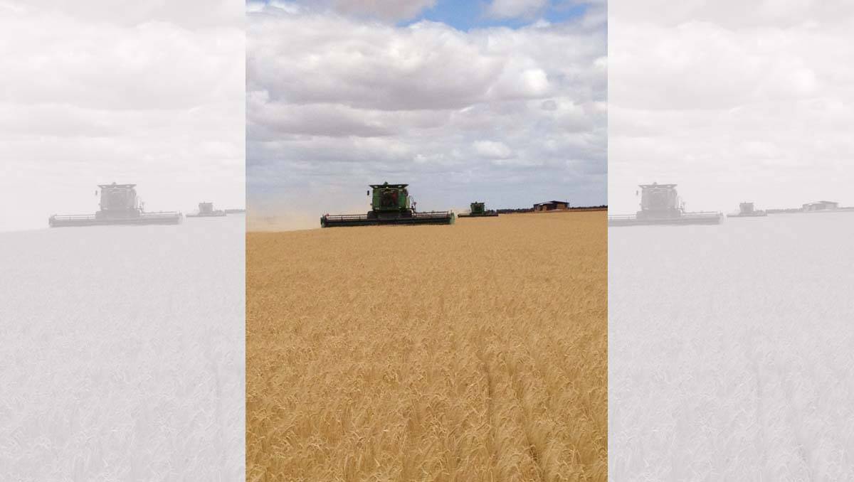 Wheat harvesting at Prairie. Picture: Ethan Hoching