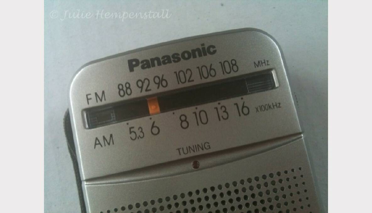Radio. Picture: Julie Hempenstall