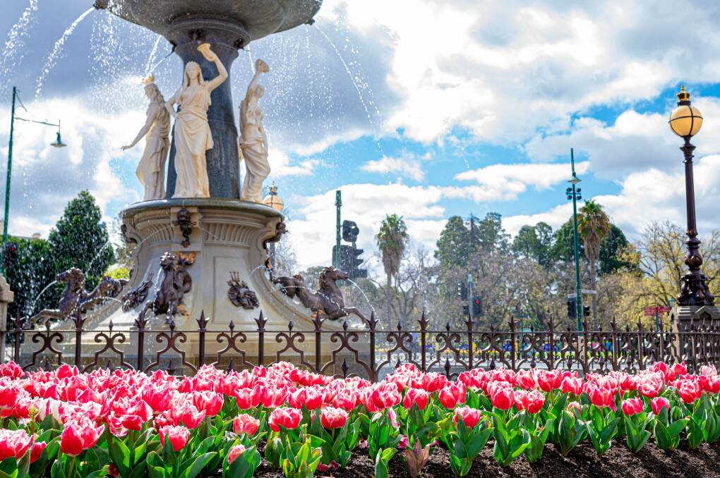 Bendigo in bloom this spring | Out & About magazine