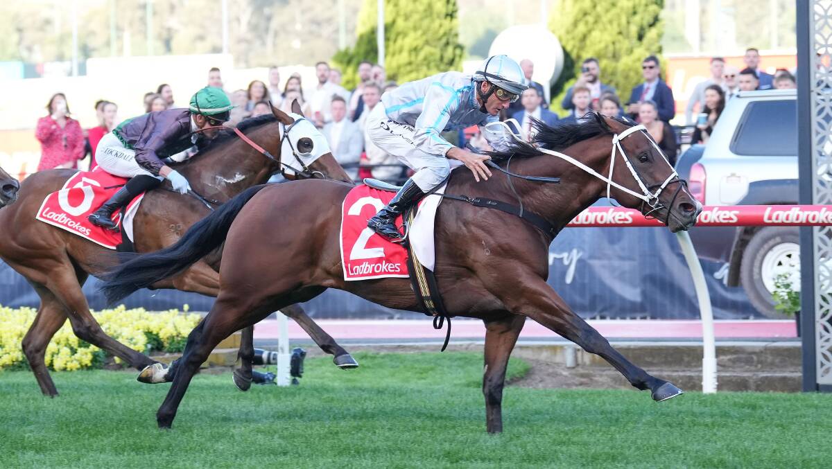 Celui, ridden by Damien Oliver, wins at Moonee Valley last October. The Brent Stanley-trained three-year-old will be one of the leading locally-trained hopes on Golden Mile day at Bendigo. Picture by Scott Barbour/Racing Photos