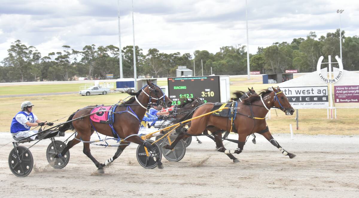 Helluva, driven by Ewa Justice, staves off the Julie Douglas-trained Kosimo and Ideal Escape to win the 2024 Charlton Pacing Cup on Sunday. Picture by Peter Hibberd