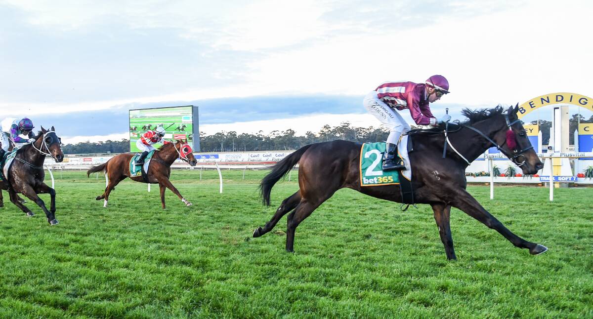Tatunka, ridden by Dylan Dunn, makes it three wins in a row with a victory on his home track at Bendigo in June 2020. Picture by Brett Holburt/Racing Photos