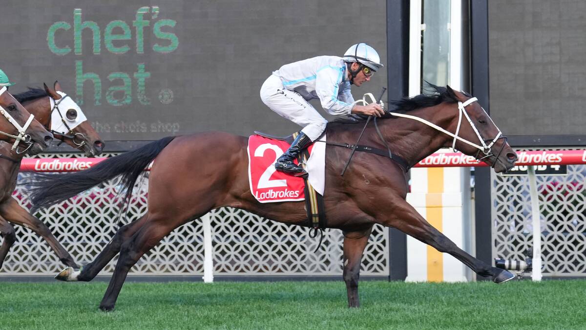 Celui, ridden by Damien Oliver, wins at Moonee Valley in October. The colt will make his return to racing at Morphettville on Saturday. Picture by Scott Barbour/Racing Photos