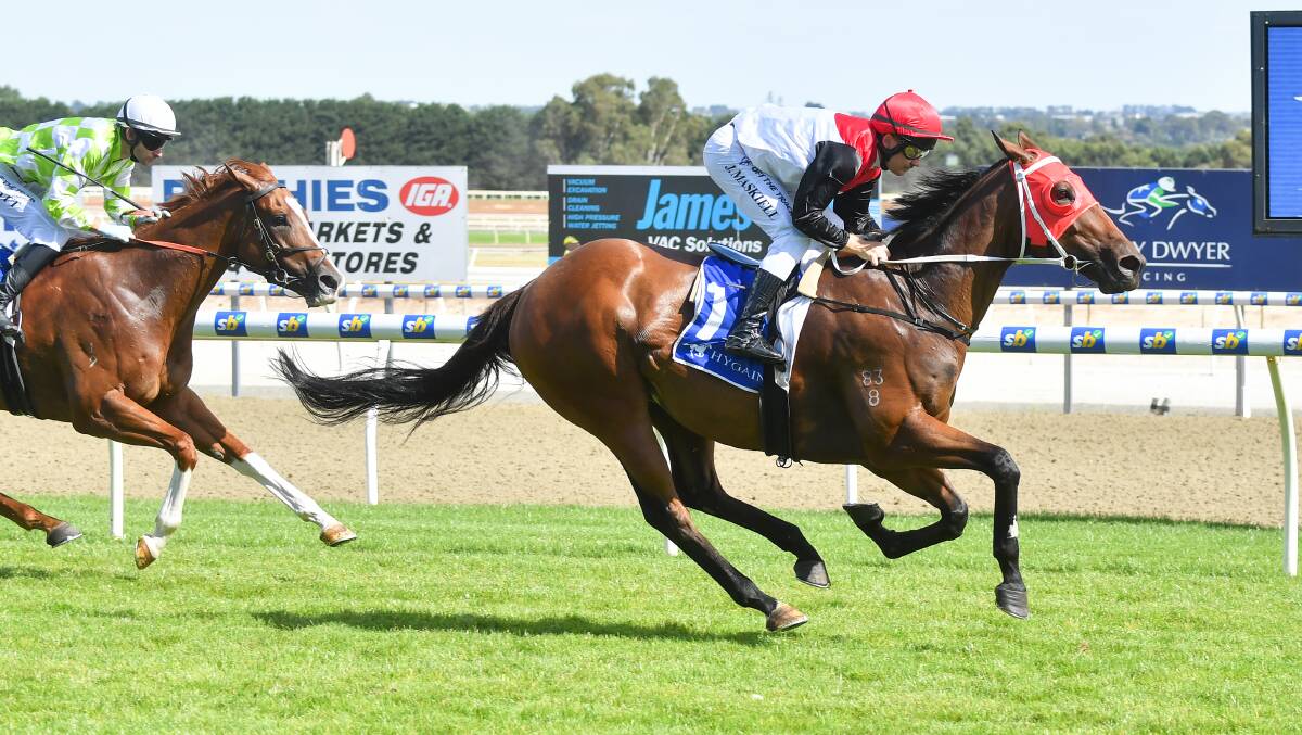 Jason Maskiell rides Snappy Secret to victory at Ballarat last Monday. Picture by by Pat Scala/Racing Photos