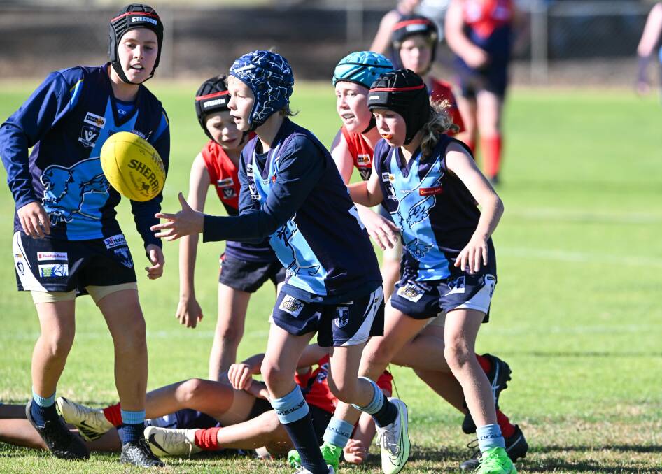 Quarry Hill v Eaglehawk in under-12 grading games. Picture by Enzo Tomasiello