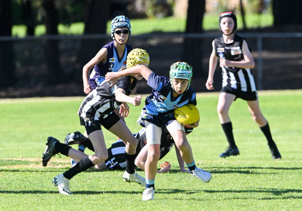 Castlemaine v Eaglehawk in under-12 grading games. Picture by Enzo Tomasiello