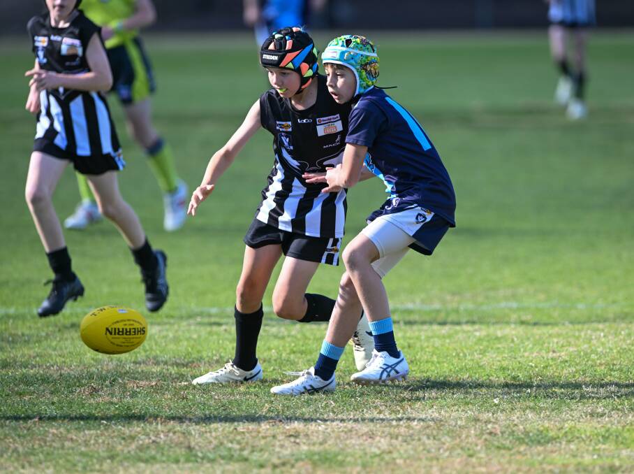 Castlemaine v Eaglehawk in under-12 grading games. Picture by Enzo Tomasiello